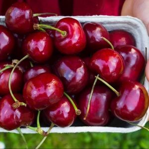 Meet your Posher, Marcela